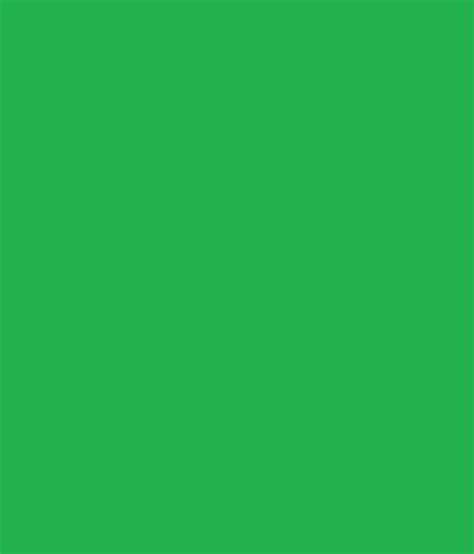 ruchira  colour printing paper green buy    price