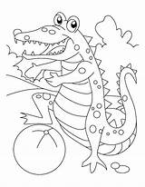 Pages Alligator Coloring Turtle Snapping Color Getcolorings Getdrawings Drawing sketch template