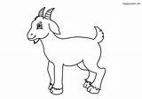Ziege Granja Ziegenbock Bauernhof Tiere Ausmalbilder Ziegen Lachender Zicklein Colomio Malvorlage Goats sketch template