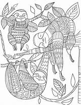 Sloth Mandala Faultier Paresseux Mandalas Zentangle Coloriage Erwachsene Malen Puppy Faultiere Zentangles Luiaard Adults Buch Tierbilder Dessin Kleurplaten Colorier Ausmalbilder sketch template
