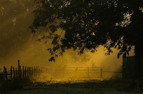 Misty Gate Photograph By Pam Kaster Fine Art America