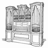 Organ 선택 보드 sketch template