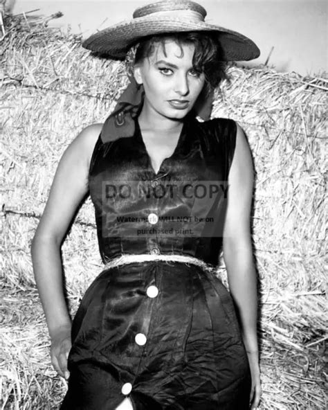 Sophia Loren Legendary Actress And Sex Symbol 8x10 Publicity Photo
