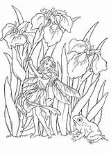 Fairy Flower Coloring Pages Getcolorings Printable sketch template