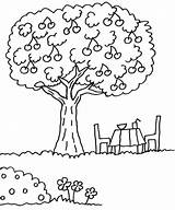 Malvorlage Apfelbaum Kirschbaum Ausmalbilder Baum Baume sketch template