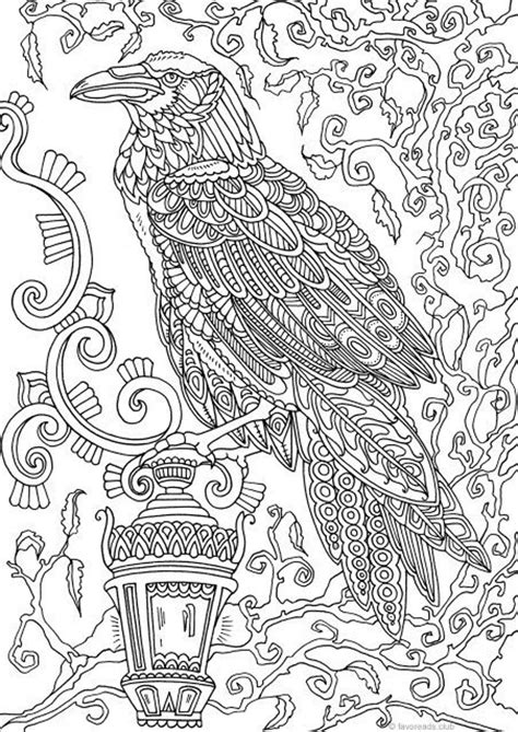 raven printable adult coloring page  favoreads coloring etsy