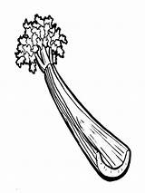 Celery Coloring Pages Vegetables Color Template Kids sketch template