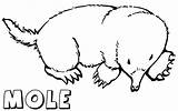 Mole sketch template