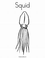 Squid Coloring Template Fish Pages Sharks Twistynoodle Built California Usa Noodle Change Templates sketch template