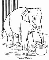 Zoo Coloring Pages Printable Kids Elephant Preschoolers Trunk sketch template