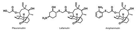 Molecules Free Full Text Antibacterial Activity And