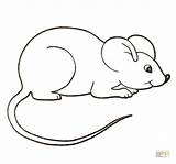 Mouse Coloring Pages Color Clipart Mice Printable Cute Colouring House Para Rato Paint Drawing Kids Desenho Supercoloring Crafts Colorir Google sketch template