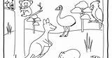 Land Animals Coloring Pages sketch template