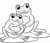 Coloring Frogs Frog Pages Ages Top sketch template