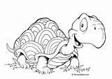 Coloring Tortoise Large sketch template