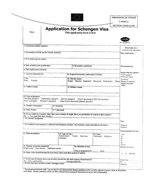 visa application form fill online printable fillable blank pdffiller