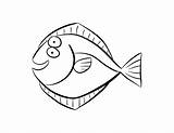 Flounder Colouring sketch template