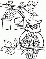 Coloring Pages Owl Coloringpagesabc Owls Kids Color Cute Printable Matthew July Posted Sheet sketch template