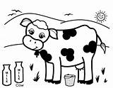 Cow Coloring Milk Pages Cows Dairy Drawing Produce Colouring Cute Printable Healthy Kids Color Adults Cookies Getcolorings Cattle Drive Getdrawings sketch template