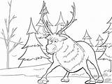 Coloring Sven Reindeer Coloringpagebook Advertisement Printable sketch template
