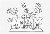 Coloring May Month Flowers Pages Mary Book Pngkey Blessed Maypole Virgin Devotions Cliparts sketch template