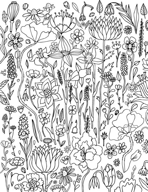 printable coloring pages  adults   background drawer