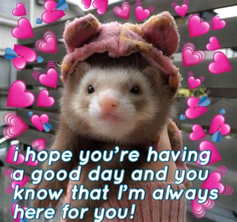 hope you have a good day cute love memes wholesome memes cute memes