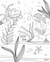 Unterwasserwelt Ausmalbild Unterwasser Podwodny Kinderbilder świat Ausmalen Ryby Drukuj sketch template