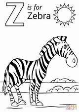 Coloring Zebra Letter Pages Cartoon Zebras Alphabet Supercoloring Printable Worksheets Colouring Color Preschool Kids Animal Zoo Animals Words Template Colorings sketch template