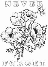 Remembrance Lest Poppies Rooftoppost sketch template