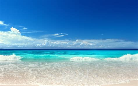 Wallpaper 4K Ocean - 4K Underwater World Ocean Corals Wallpaper