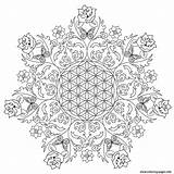 Erwachsene Malvorlagen Ausdrucken Mandalas Vorlage Bestcoloringpagesforkids Schone Kunstwerke Intricate Wunderschöne Schmetterling Sind Drucken sketch template