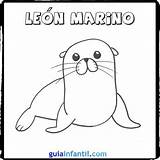 Marino Animales León Dibujo Marinos Faciles Foca Guiainfantil Leones sketch template