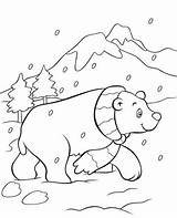 Bear Coloring Polar Pages Christmas Printable Ours Cute Baby Polaire Cub Dessin Book Colorier Cartoon Getcolorings Snow Color Little Bears sketch template
