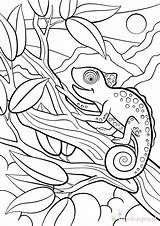 Chameleon Kameleon Dieren Colorare Kolorowanki Camaleonte Selvatici Schattige Dla Piccolo Carino Siede Bestcoloringpagesforkids Chameleons Sulla Wydrukowania Mayka sketch template