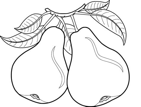 pear coloring page  getdrawings