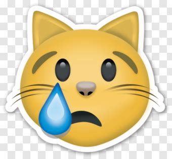 crying cat  added  pet foolery instagram post  ve  plenty    people