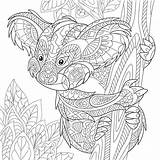 Antistress Adulti Zentangle Mano Pagina Koala Schizzo Disegnato Parati Estilizado Colorear Stylized Lobo Aislado Myloview Stampare sketch template