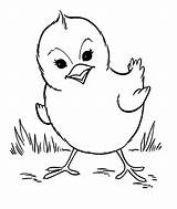 Coloring Farm Animals Animal Pages Printable Baby Kids Print Preschool Books Barn Colouring Color Book Wild Chick Bestcoloringpagesforkids Drawing Drawings sketch template