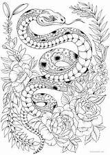 Coloring Serpent Favoreads Snakes Adulte Colorear Malvorlagen Mandalas Ausmalen Schlange Colorare Kleurplaten Erwachsene Zentangle Blumen Ausdrucken Serpientes Livres Serpenti Malbuch sketch template