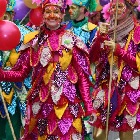 vastelaovend  limburg vl carnaval ideeen verkleden