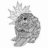 Pages Beaver Colouring sketch template