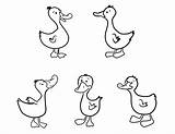 Coloring Duck Five Ducks Baby Oregon Color Pages Print Getcolorings Netart Printable Impressive sketch template