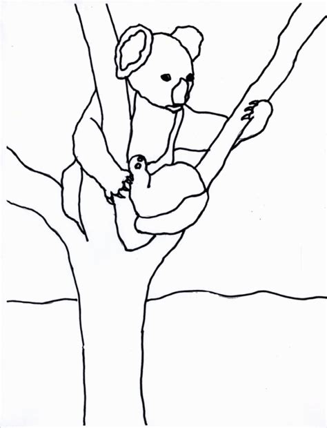 koala coloring pages  kids coloring home