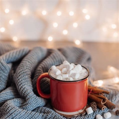 11 Best Hot Chocolate Mixes To Buy In 2022