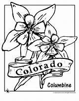 Colorado Coloring State Flower Pages Columbine Clipart Oregon Jr Clipground Printables Designlooter Drawings Kids Print Classroom 04kb 880px sketch template