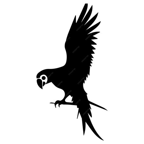 perroquet vecteur silhouette noir couleur clipart perroquet logo