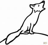 Fox Coloring Pages Howling Red Arctic Print Easy Zorro Printable Aullando Supercoloring Clipart Dibujos Un Hound Foxes Color Cute Baby sketch template