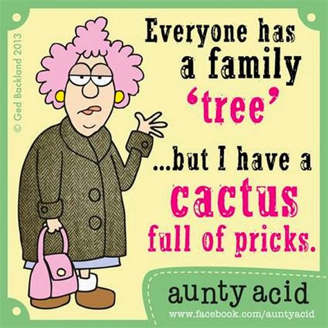 quotes about crazy aunty quotesgram