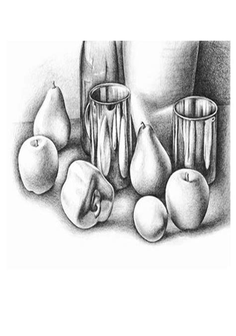 life pencil drawing learn   draw